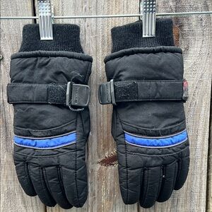 Black and Blue Winter Gloves